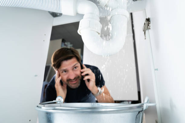 Best Emergency Plumbing Repair  in Halsey, OR