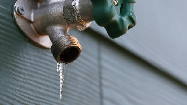 Best Commercial Plumbing Services  in Halsey, OR